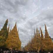 ヒメ日記 2025/12/10 17:41 投稿 はづき パンスト熟女はいやらしい