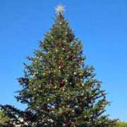 はづき ２０時半まで パンスト熟女はいやらしい