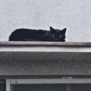 ヒメ日記 2026/01/27 11:20 投稿 はづき パンスト熟女はいやらしい