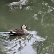 ヒメ日記 2026/01/27 21:25 投稿 はづき パンスト熟女はいやらしい