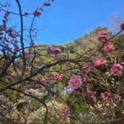 ヒメ日記 2026/03/05 16:37 投稿 はづき パンスト熟女はいやらしい