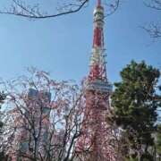 ヒメ日記 2026/04/09 10:32 投稿 はづき パンスト熟女はいやらしい