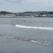 ヒメ日記 2026/04/11 10:28 投稿 はづき パンスト熟女はいやらしい