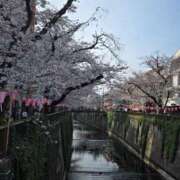 ヒメ日記 2026/04/15 10:29 投稿 はづき パンスト熟女はいやらしい