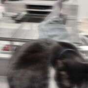 ヒメ日記 2025/02/05 19:52 投稿 北川あいる 全裸の極みorドッキング痴漢電車