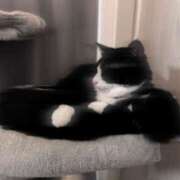 ヒメ日記 2025/03/23 19:15 投稿 北川あいる 全裸の極みorドッキング痴漢電車