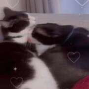 ヒメ日記 2025/04/12 21:05 投稿 北川あいる 全裸の極みorドッキング痴漢電車