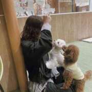 ヒメ日記 2025/06/11 00:05 投稿 北川あいる 全裸の極みorドッキング痴漢電車