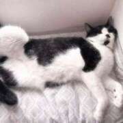 ヒメ日記 2025/07/30 20:20 投稿 北川あいる 全裸の極みorドッキング痴漢電車