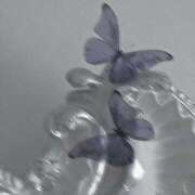 ヒメ日記 2025/08/14 14:05 投稿 北川あいる 全裸の極みorドッキング痴漢電車