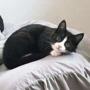 ヒメ日記 2025/09/17 23:45 投稿 北川あいる 全裸の極みorドッキング痴漢電車