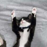 ヒメ日記 2025/10/14 18:45 投稿 北川あいる 全裸の極みorドッキング痴漢電車