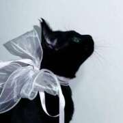 北川あいる 今月はあと明日だけ🙏🏻 全裸の極みorドッキング痴漢電車