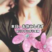 ヒメ日記 2025/07/26 09:12 投稿 長瀬 品川やすらぎ