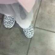 ヒメ日記 2024/12/20 09:47 投稿 咲夜(さくや) 渋谷蘭の会