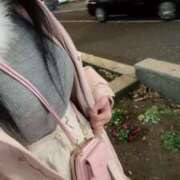 ヒメ日記 2024/12/25 19:02 投稿 咲夜(さくや) 渋谷蘭の会