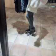 ヒメ日記 2024/12/26 09:27 投稿 咲夜(さくや) 渋谷蘭の会