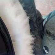 ヒメ日記 2024/12/26 13:02 投稿 咲夜(さくや) 渋谷蘭の会