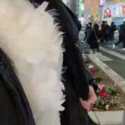 ヒメ日記 2024/12/27 17:11 投稿 咲夜(さくや) 渋谷蘭の会