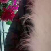 ヒメ日記 2024/12/28 19:09 投稿 咲夜(さくや) 渋谷蘭の会