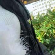 ヒメ日記 2024/12/29 12:53 投稿 咲夜(さくや) 渋谷蘭の会