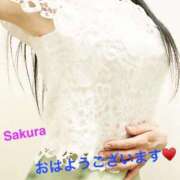 ヒメ日記 2025/01/17 07:35 投稿 咲夜(さくや) 渋谷蘭の会