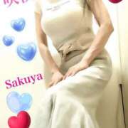 ヒメ日記 2025/03/03 14:31 投稿 咲夜(さくや) 渋谷蘭の会