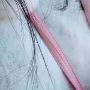 ヒメ日記 2025/03/07 13:09 投稿 咲夜(さくや) 渋谷蘭の会