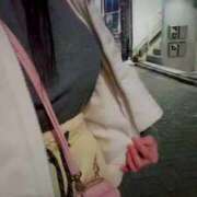 ヒメ日記 2025/03/13 04:51 投稿 咲夜(さくや) 渋谷蘭の会