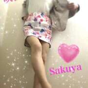 ヒメ日記 2025/03/16 23:11 投稿 咲夜(さくや) 渋谷蘭の会