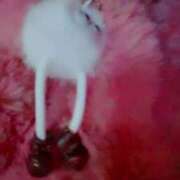 ヒメ日記 2025/03/17 22:51 投稿 咲夜(さくや) 渋谷蘭の会