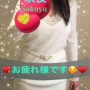 ヒメ日記 2025/03/31 21:21 投稿 咲夜(さくや) 渋谷蘭の会