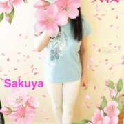 ヒメ日記 2025/04/01 07:11 投稿 咲夜(さくや) 渋谷蘭の会