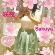 ヒメ日記 2025/04/01 20:02 投稿 咲夜(さくや) 渋谷蘭の会