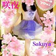 ヒメ日記 2025/04/03 08:01 投稿 咲夜(さくや) 渋谷蘭の会