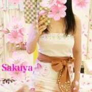 ヒメ日記 2025/04/03 17:21 投稿 咲夜(さくや) 渋谷蘭の会