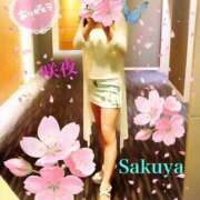 ヒメ日記 2025/04/04 08:31 投稿 咲夜(さくや) 渋谷蘭の会