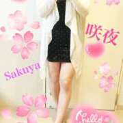 ヒメ日記 2025/04/06 17:03 投稿 咲夜(さくや) 渋谷蘭の会