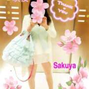 ヒメ日記 2025/04/08 20:21 投稿 咲夜(さくや) 渋谷蘭の会