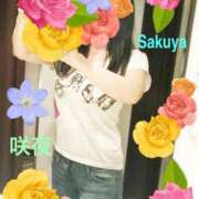 ヒメ日記 2025/04/08 22:19 投稿 咲夜(さくや) 渋谷蘭の会