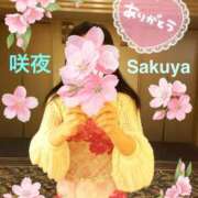 ヒメ日記 2025/04/09 13:15 投稿 咲夜(さくや) 渋谷蘭の会