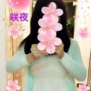 ヒメ日記 2025/04/14 15:51 投稿 咲夜(さくや) 渋谷蘭の会