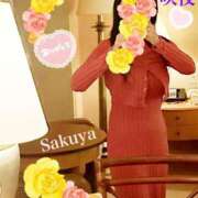 ヒメ日記 2025/04/25 10:41 投稿 咲夜(さくや) 渋谷蘭の会