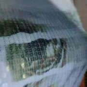 ヒメ日記 2025/08/06 00:11 投稿 咲夜(さくや) 渋谷蘭の会