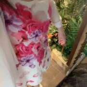 ヒメ日記 2025/08/30 01:25 投稿 咲夜(さくや) 渋谷蘭の会