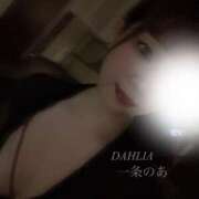 ヒメ日記 2025/09/25 18:51 投稿 一条のあ ダリア