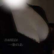 ヒメ日記 2025/10/30 08:21 投稿 一条のあ ダリア