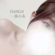 ヒメ日記 2026/02/15 20:01 投稿 一条のあ ダリア