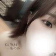 ヒメ日記 2026/02/20 20:41 投稿 一条のあ ダリア