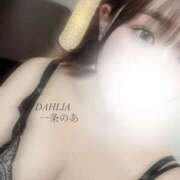 ヒメ日記 2026/02/28 08:21 投稿 一条のあ ダリア